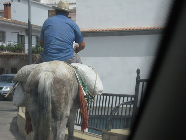 Spaanse_boer_met_paard