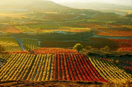 La Rioja